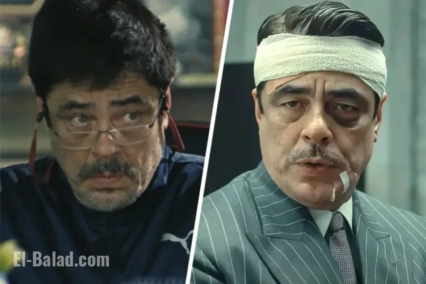 Benicio del Toro Celebrates Successful Year with ‘One Battle After Another’