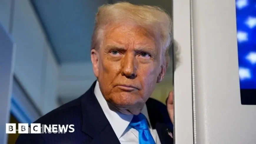 Donald Trump Plans Legal Action Against BBC: What’s Next?