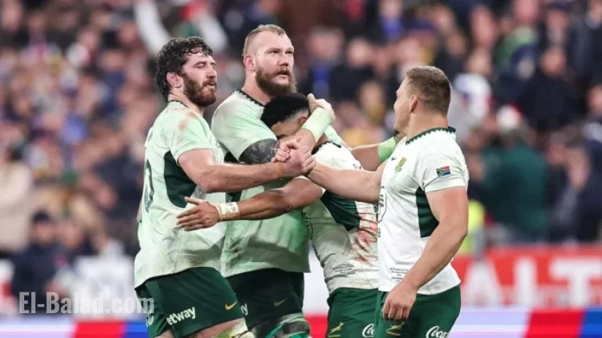 Italy vs South Africa: Live Rugby Scores & Highlights – 15 Nov 2025