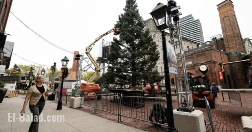 Distillery District Winter Village Reports Fake Gambling Ad Website to Police