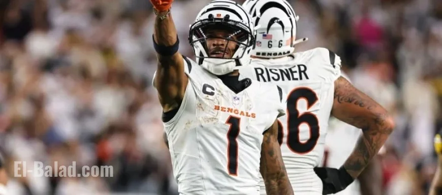 2025 Week 11 Fantasy Football Wide Receiver Rankings