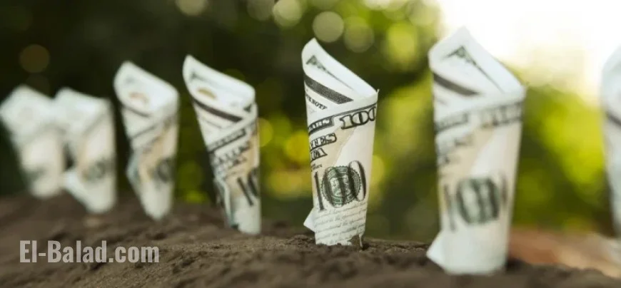 Top 4 Dividend Stocks to Boost Your Portfolio Now