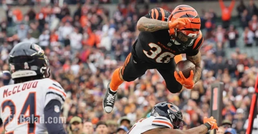 Top NFL DFS Picks for Week 11 Fantasy Football