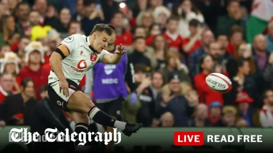 Wales vs Japan Live: Autumn International Score and Updates