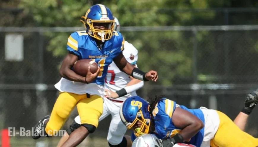 IHSA 2025 State Football Quarterfinal: Full Scores and Highlights