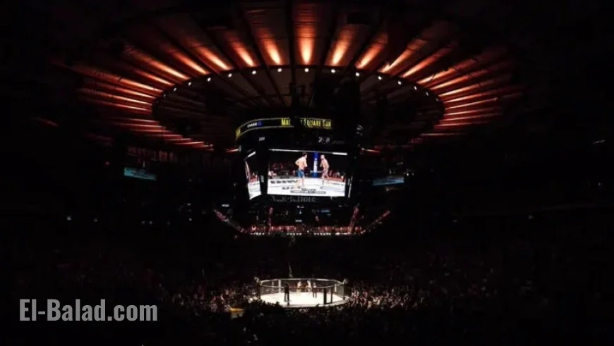 VeChain UFC 322 Prelim Results: Della Maddalena Faces Makhachev