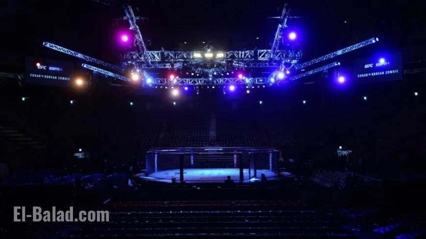 UFC and IBM Launch AI-Driven In-Fight Insights with Unanimous Agreement