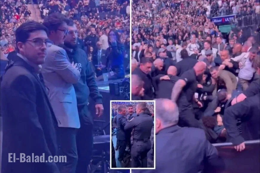 Dillon Danis, Islam Makhachev’s Team Clash in Major UFC 322 Brawl