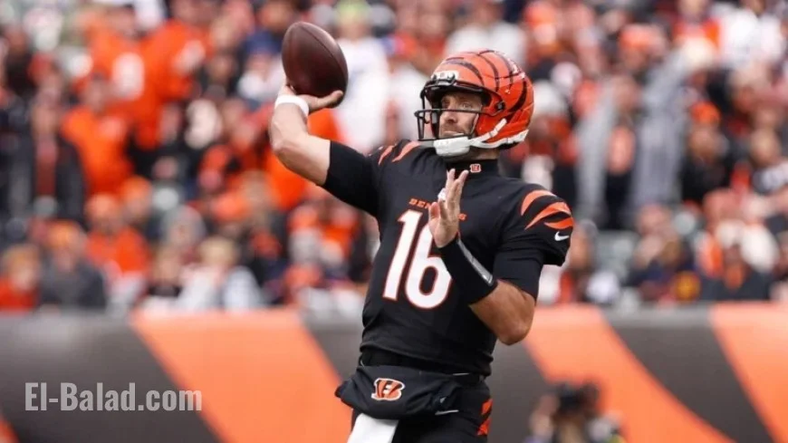 Top Week 11 Pickups: Joe Flacco, Devin Singletary Lead the List