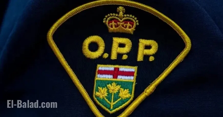 Pilot Dies in Ontario Plane Collision: OPP Reports