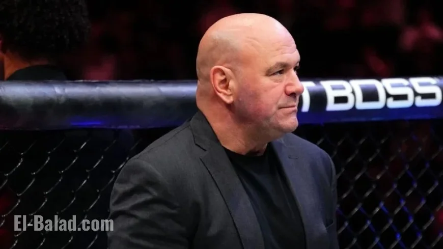 Dillon Danis Banned from UFC Following MSG Brawl, Says White