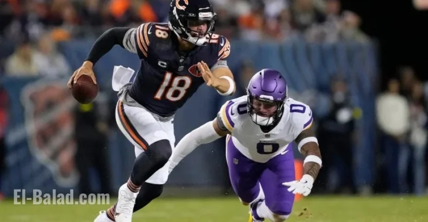 WCG Forecasts Chicago Bears vs. Minnesota Vikings Showdown