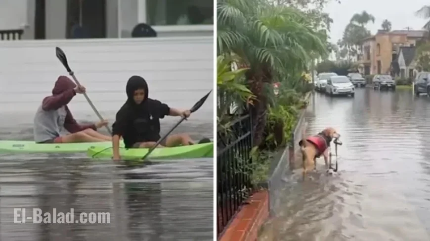 Long Beach Floods Turn Streets into Kayaking Routes