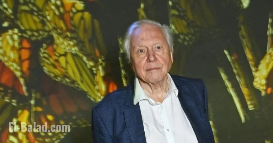 David Attenborough’s Marriage Ends After 47 Years Due to Tragic Call