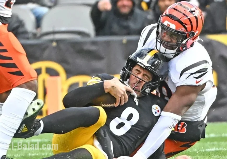 Aaron Rodgers Leaves Steelers-Bengals Game Due to Injury