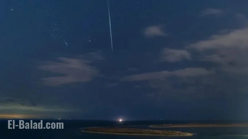 Observe the Leonid Meteor Shower Peak: Timing and Viewing Guide