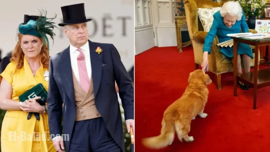 King Charles Plans to Reclaim Queen Elizabeth’s Corgis from Andrew
