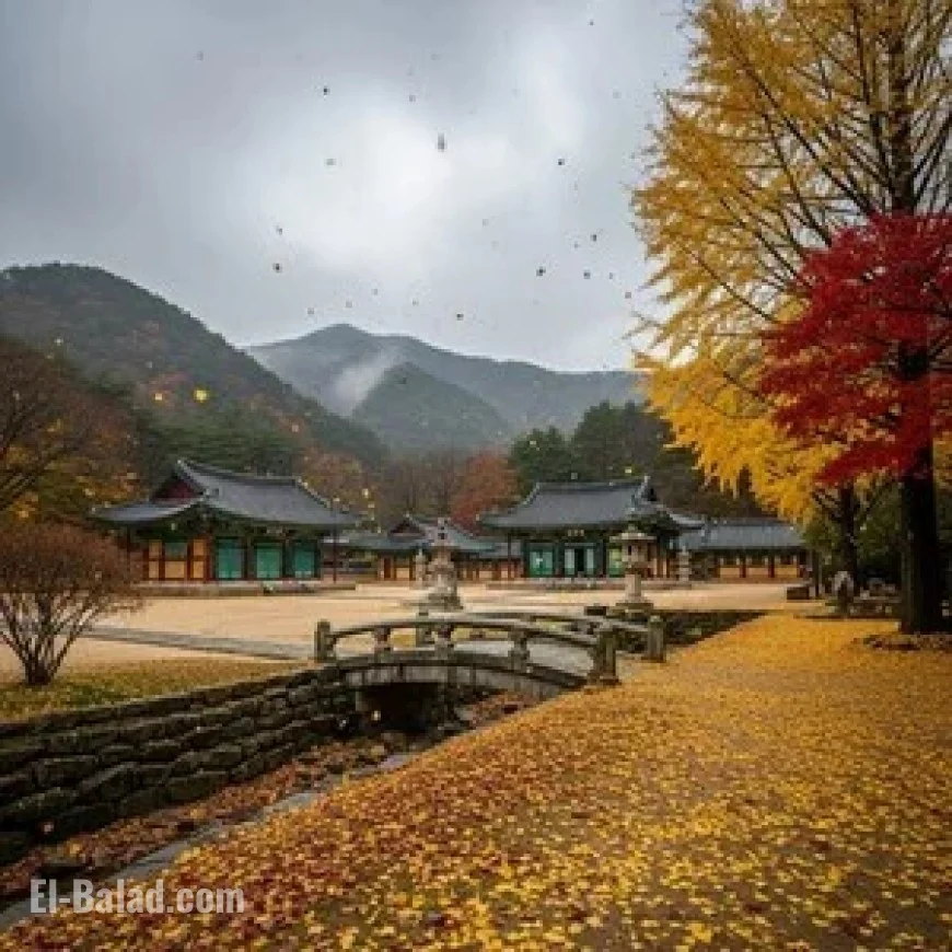Chilly, Overcast Early Winter Weather Forecast for Gyeryongsan Tomorrow
