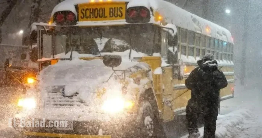 Ontario School Bus Cancellations: How Decisions Are Made by School Boards