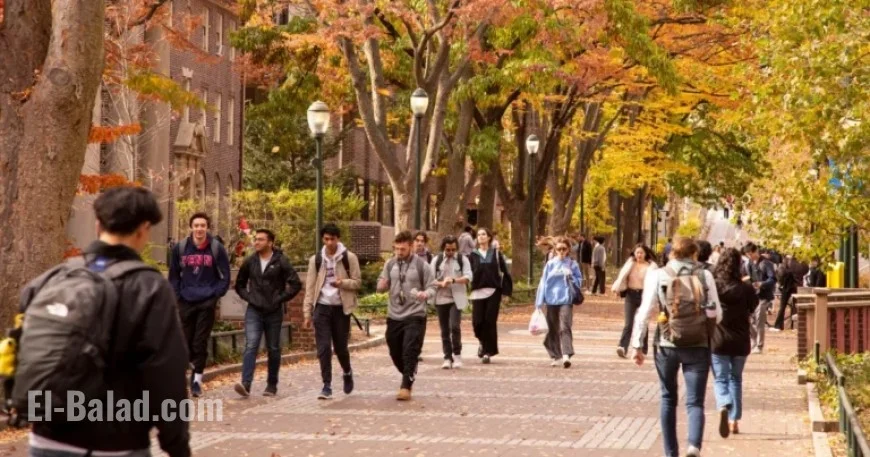 International Student Enrollment Drops Significantly in U.S. Under Trump Immigration Policies