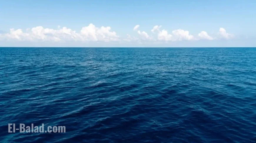 First Demonstration Unfolds