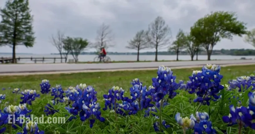 Sunny Sunday Skies Transition to Rainy Week: What to Expect