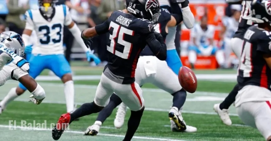 Panthers Defeat Falcons, Ending Their Playoff Hopes