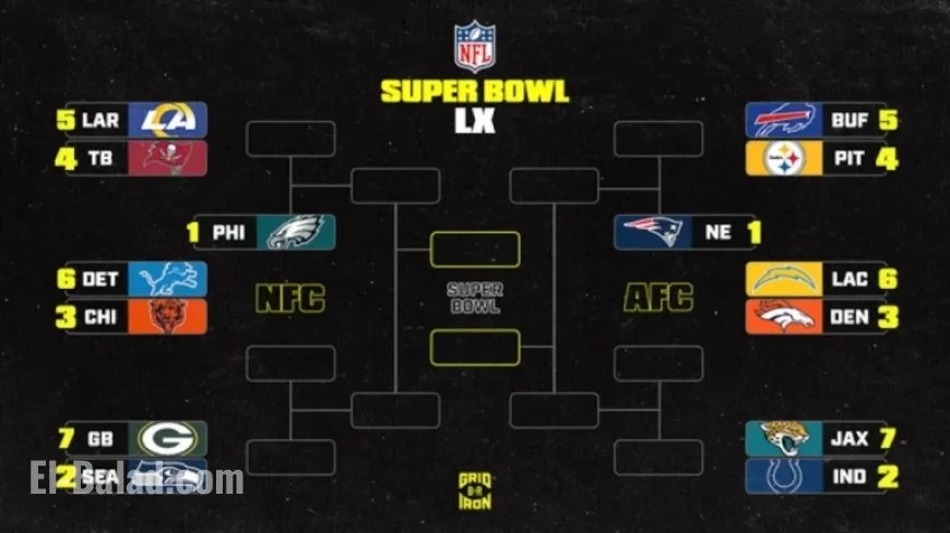 NFL Playoffs 2025-26: Updated Week 11 Standings for AFC and NFC