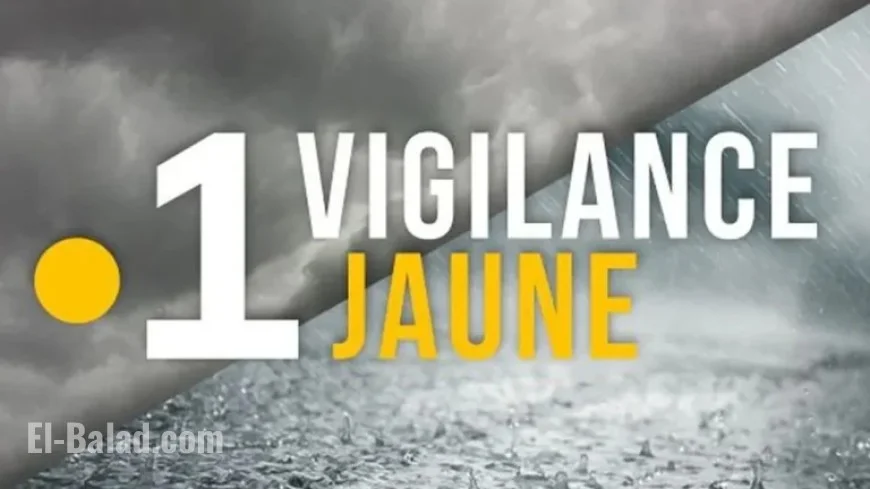 Martinique on Yellow Alert for Heavy Rain, Storms, and Coastal Flooding