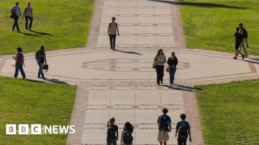 International Student Enrollment Declines 17% at US Universities