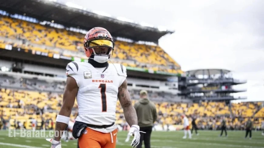 Zac Taylor Defends Ja’Marr Chase’s Mistake, Stresses Learning from Missteps