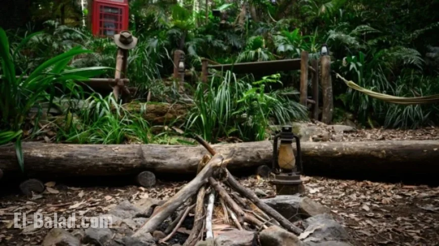 I’m A Celeb Medics Alerted to Dangerous Humidity Levels in Camp