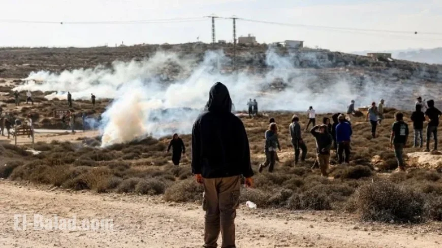 Israeli Settlers Set Fire to Palestinian Vehicles, Homes in West Bank Village