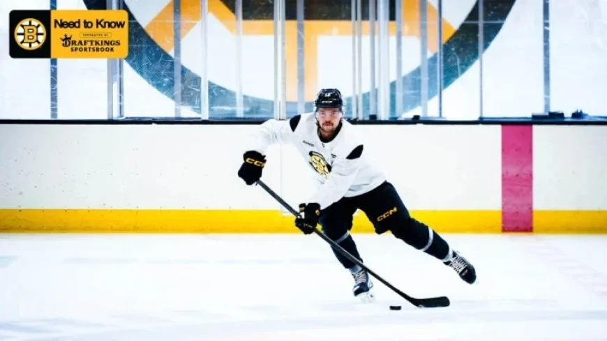 Bruins Face Hurricanes: Key Match Insights