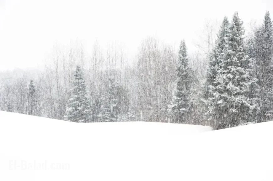 Winter Storm to Blanket Northeast with 16 Inches of Snow