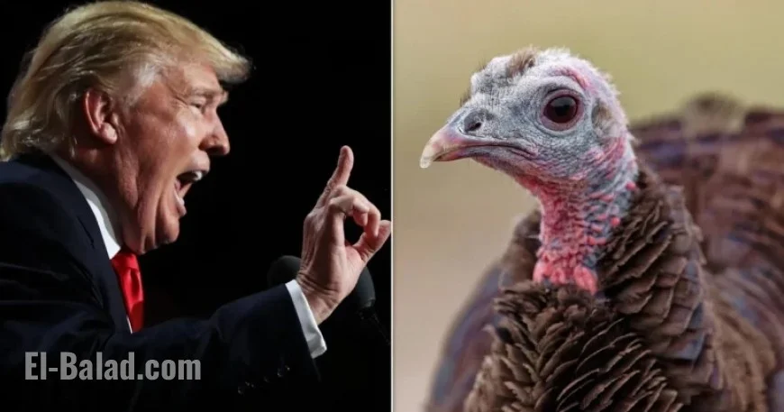 Trump’s Unusual Thanksgiving Gaffe Sparks Backlash