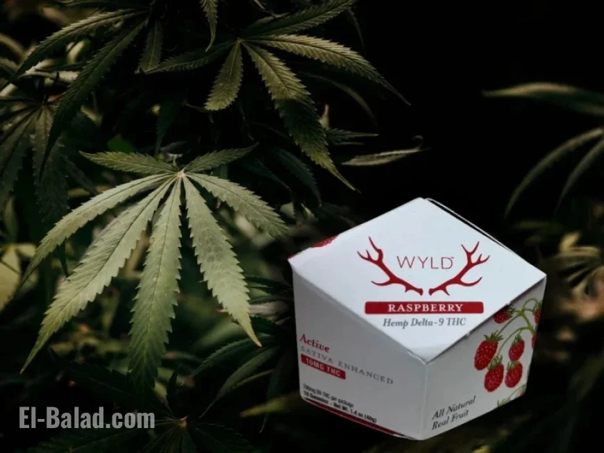 Wyoming Hemp Vendors Face Challenges After Delta-8 Court Loss and Federal Ban