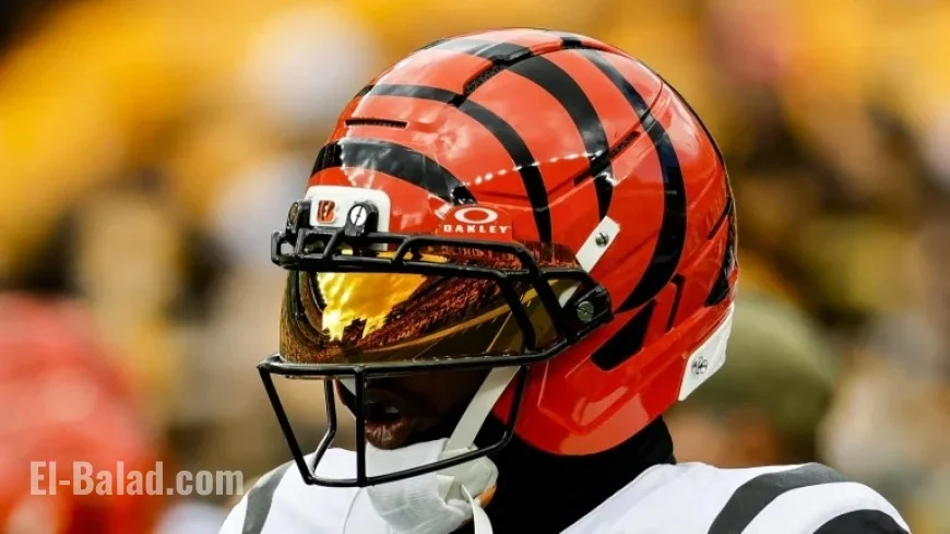 Jordy Nelson to Review Ja’Marr Chase’s Suspension Appeal