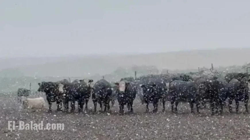 Midwest Braces for Intense First Snowfall of the Season