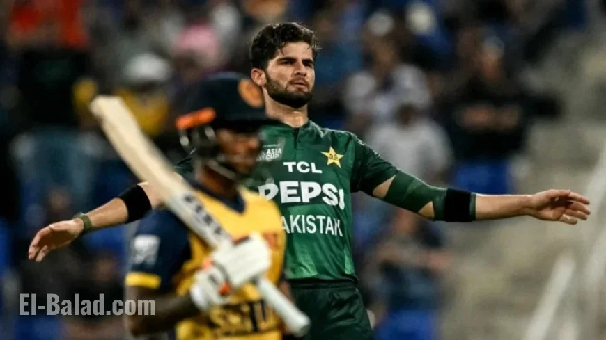 Rawalpindi Hosts Crucial World Cup Showdown: Pakistan vs. Sri Lanka vs. Zimbabwe
