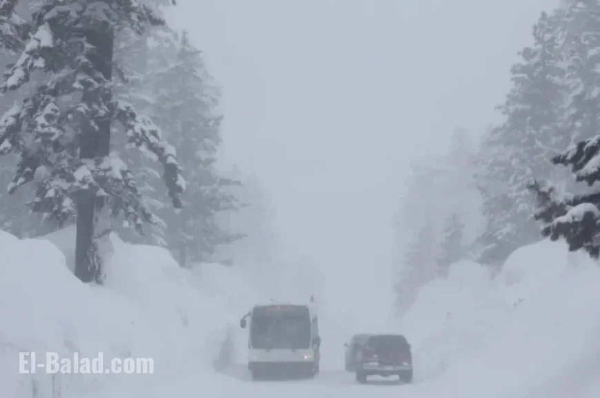Winter Storm Alert: Expect 20 Inches of Snowfall
