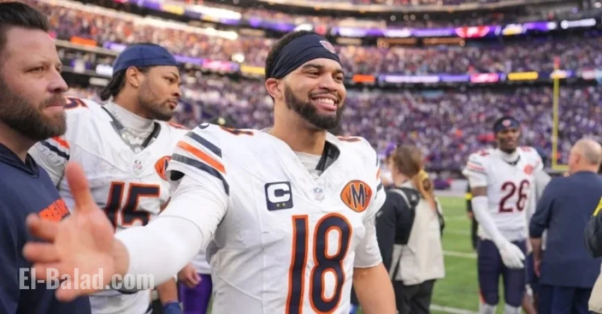 Chicago Bears Shine in Week 11 Superlatives