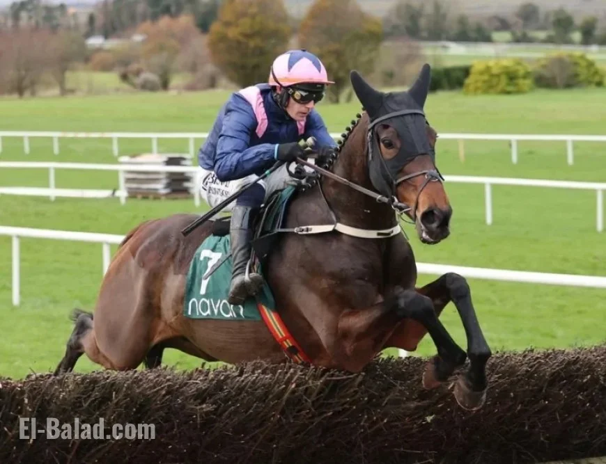 Supreme Scorer Kopek Des Bordes Shines in Electric Chasing Debut