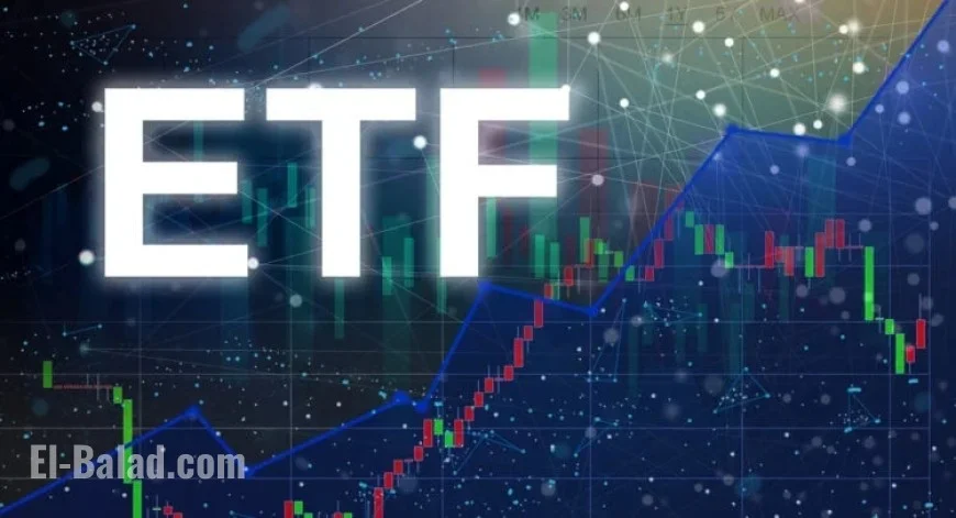 VTI ETF Movements: Daily Insight — November 18, 2025