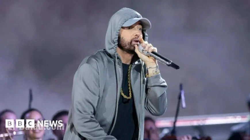 Eminem Sues Australian Beachwear Brand ‘Swim Shady’