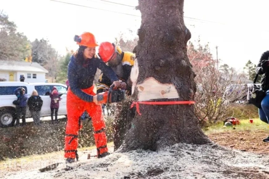 Boston Mayor Wu’s Nova Scotia Family Trip Costs Taxpayers $5K