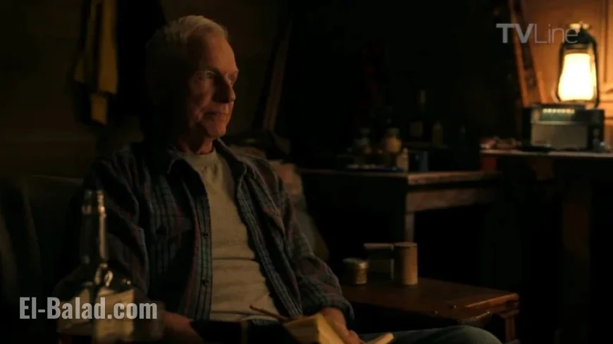 NCIS Origins Crossover: Gibbs Gains New Companion, Follows Familiar Path