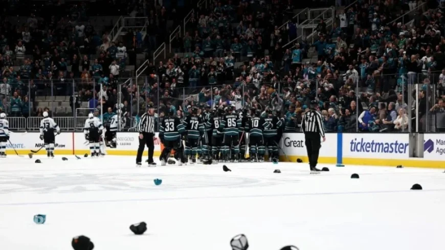 Celebrini Scores Third Career Hat Trick