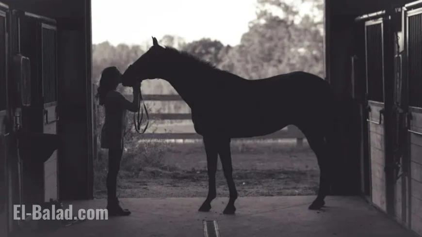 EHV-1 Outbreak in Waco, Texas Causes Deadly Impact on Horses