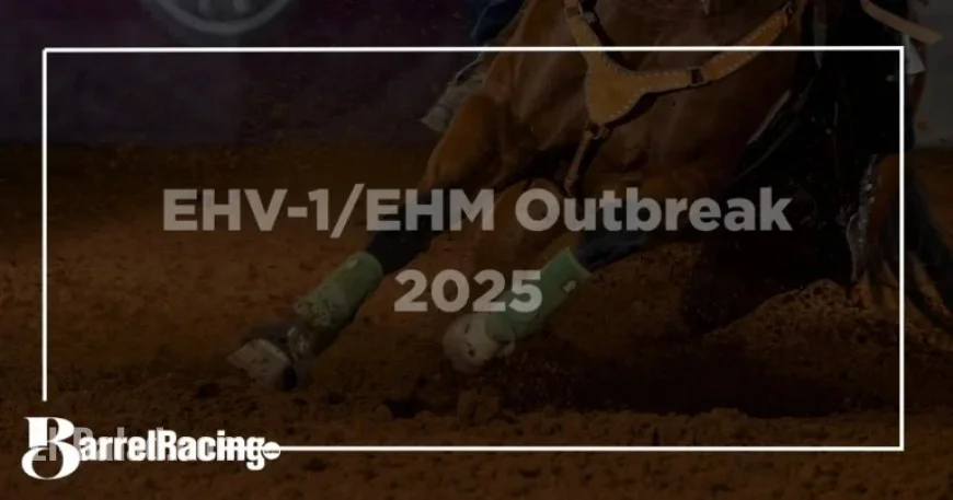 EHV-1/EHM Outbreak: Essential Updates for Horse Owners After Texas Events